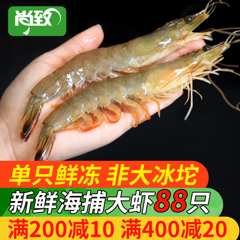 青岛海捕大虾鲜活海鲜水产冷冻速冻发货新鲜对虾青虾基围虾