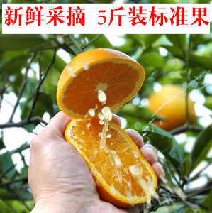 赣南脐橙正宗农家甜橙子孕妇新鲜水果江西信丰特产5斤包邮江西特产