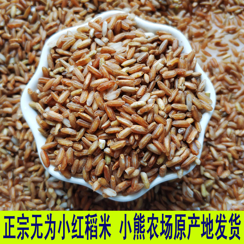 正宗无为小红稻米5斤装红米大米小熊农场种植无为特产红稻米