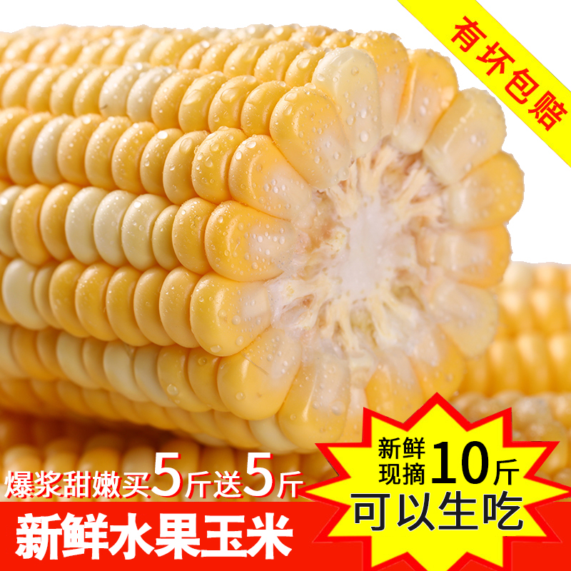 新鲜水果玉米粒甜玉米棒云南特产即食生吃新鲜玉米现摘买5斤送5斤
