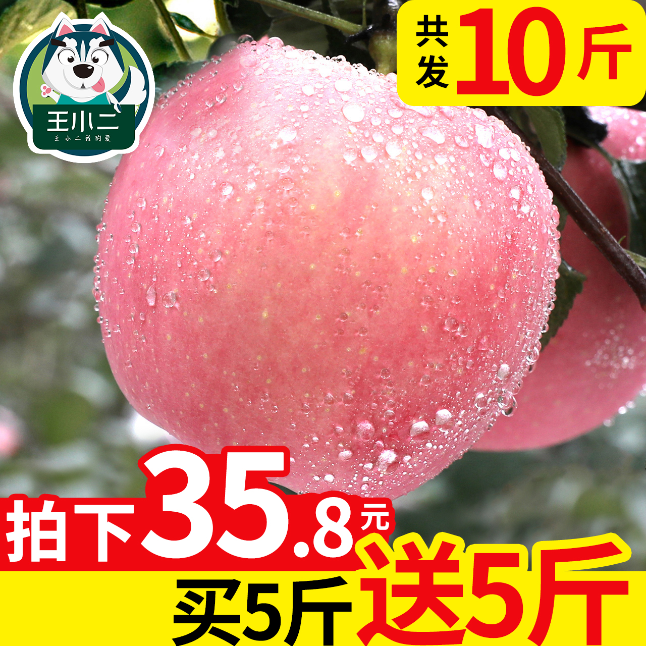 【买一送一】王小二红富士苹果水果新鲜整箱10斤当季包邮吃的萍果