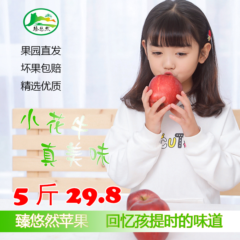 【臻悠然】甘肃礼县苹果天水花牛苹果新鲜香甜粉面蛇果花牛苹果