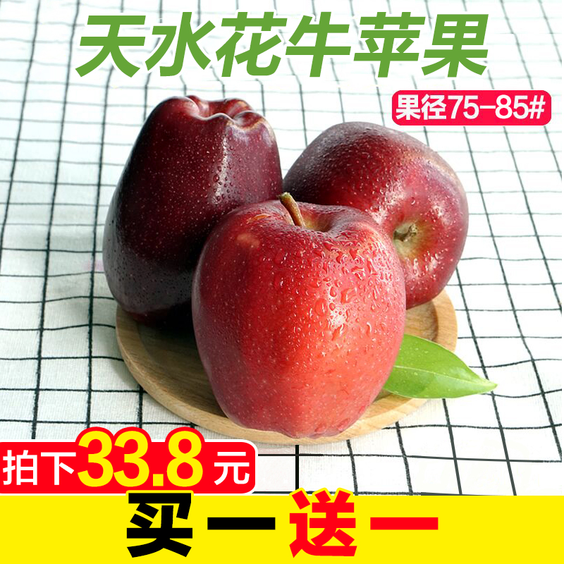 【甘福园】甘肃天水花牛苹果 新鲜当季水果红蛇果大礼县批发包邮