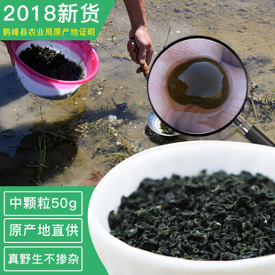 湖北恩施土特产2018年新鲜 葛仙米鹤峰走马产野生精选中粒干货50g