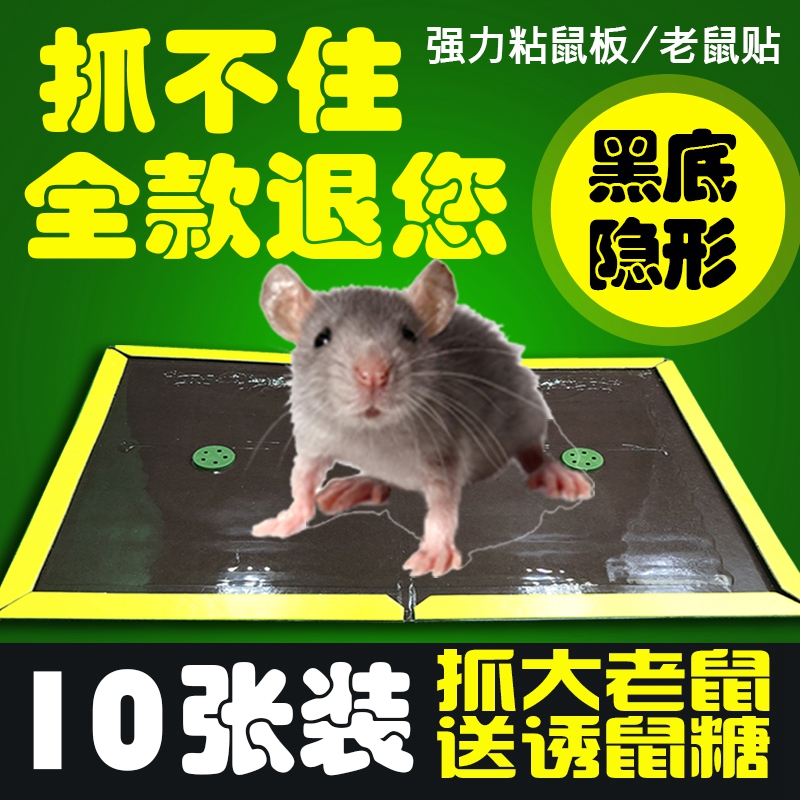 正品大强力粘鼠板含引诱老鼠贴加厚型老鼠夹捕鼠器 批發