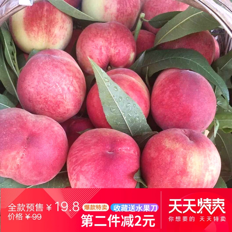 《桃山桃》水蜜桃 水果 新鲜现摘脆甜多汁孕妇桃子5斤应季超大软