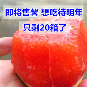 新宁崀山血橙带箱10斤红肉脐橙新鲜水果时令红心橙子农家手剥雪橙新鲜橙子