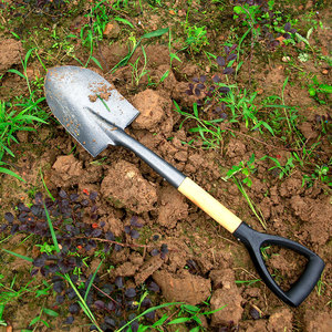 挖土大 span class=h>铲子 /span> 户外园艺铁锹 农用工具种菜树锰钢