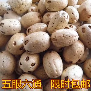 五眼六通菩提子原籽图片