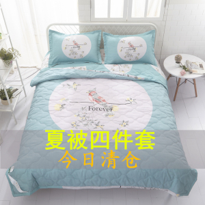 夏天空调被夏凉被三四件套可水洗卡通宿舍单双人夏被芯春秋薄被子空调被