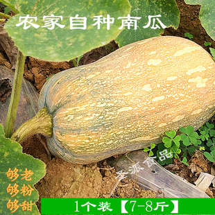 农家新鲜大南瓜 窝瓜香甜粉面糯 谢花面 东北绿皮倭瓜5斤 包邮 ￥16.