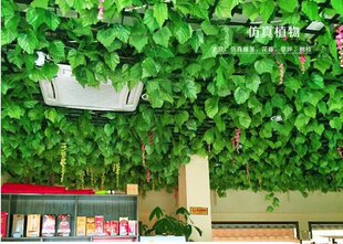假花藤条绿藤装饰花假树叶仿真葡萄吊顶房顶绿叶塑料叶子藤蔓图片
