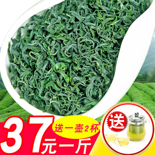 山东日照绿茶2018新茶叶春茶散装炒青高山茶叶礼盒浓香型500g袋装