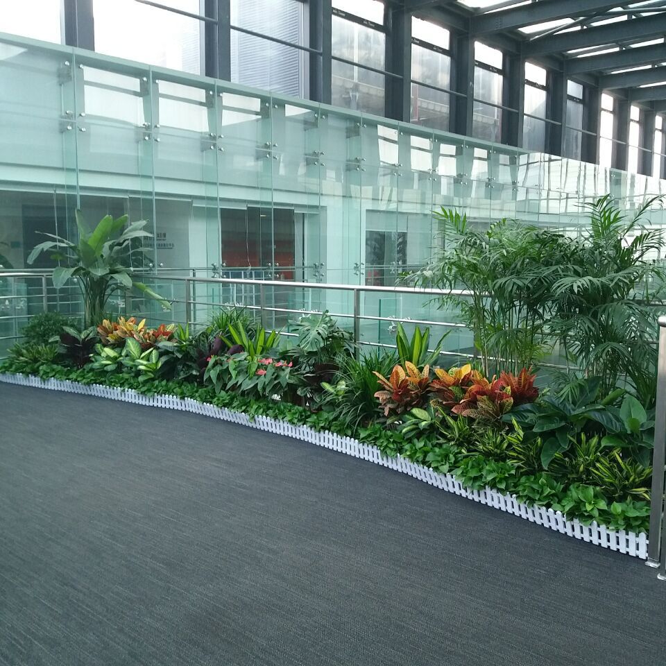 写字楼绿植摆放效果图,大厦大堂绿植摆放效果,走廊绿植摆放图_大山谷图库