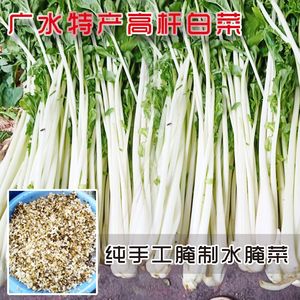 湖北随州广水特产农家高杆白菜 水盐菜酸菜箭杆水腌菜咸菜5斤包邮