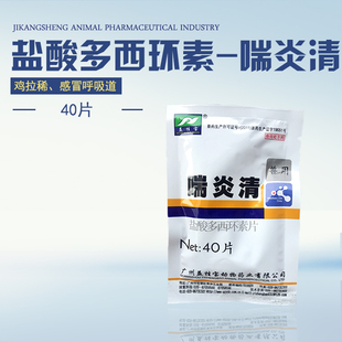 盛鸭_优惠专场 - 好吃零食网