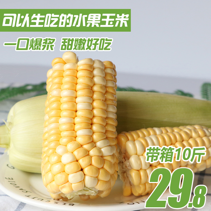 【现摘现发】云南水果玉米带箱10斤新鲜应季甜玉米棒生吃蔬菜包邮