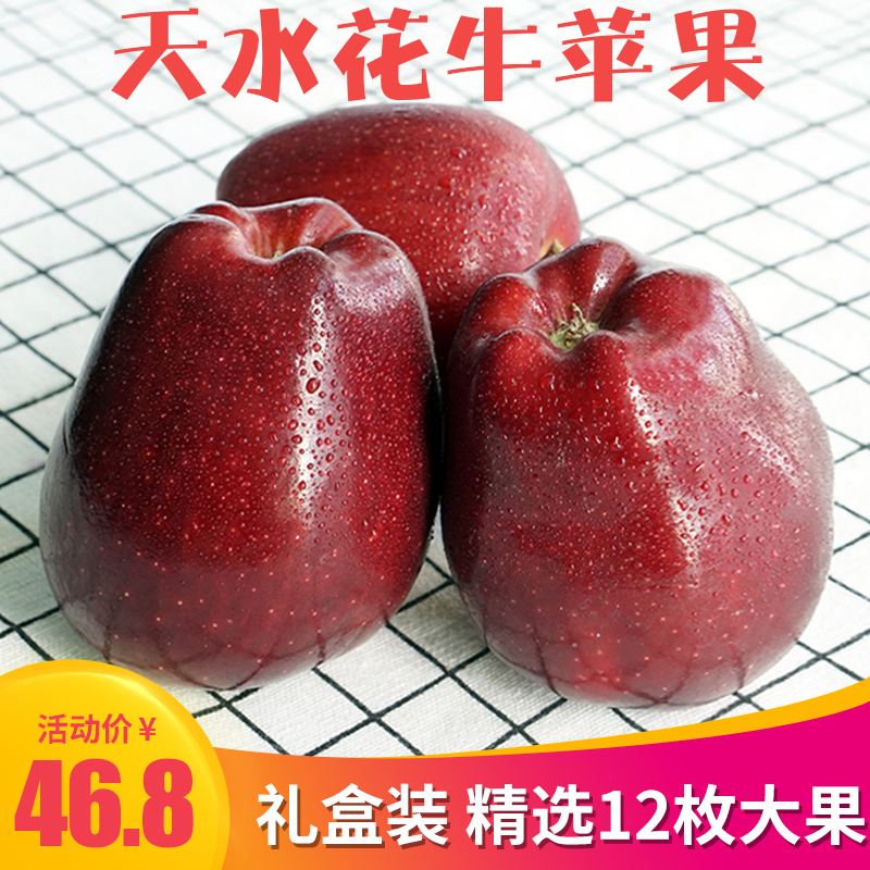 【精选大果】甘肃天水花牛苹果 新鲜水果红蛇果12枚装批发包邮