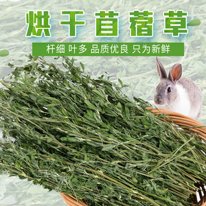 class=h>荷兰猪 /span>粮食兔粮兔子用苜蓿草一件 span class=h>包邮 