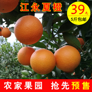 正宗湖南永州特产江永夏橙  span class=h>新鲜 /span> span class=h>