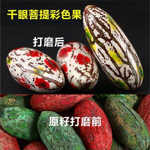 白玉菩提子原籽象牙果图片