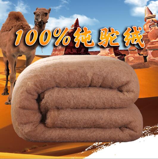 正品100%纯驼绒被子冬被驼毛被加厚冬被被子羊绒被芯单双人被定做