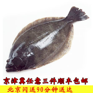 class=h>鲽鱼 /span>海鱼 span class=h>冷冻 /span>鸦片鱼新鲜海鲜