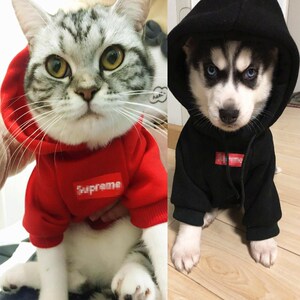 潮牌卫衣宠物衣服泰迪贵宾比熊博美猫咪小狗狗服饰两脚衣春夏装宠物服饰