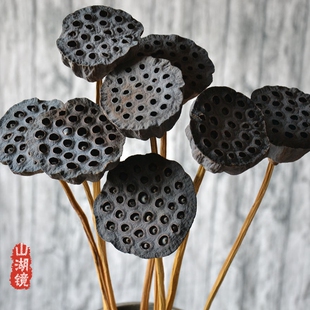 莲蓬