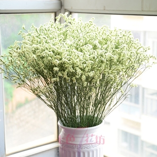 特价干花草水晶草枝长50cm云南干花自然晾晒七色花坊包邮