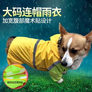 【狗雨衣中型犬图片】狗雨衣中型犬图片大全