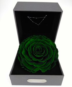 摩羯座 span class=h>永生花 /span>礼盒进口墨绿色玫瑰七夕情人节