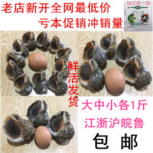 【连云港海鲜图片】连云港海鲜图片大全