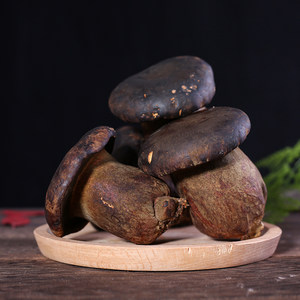 拾蘑菇 云南新鲜黑牛肝 牛肝菌 仿野生环境黑牛肝菌 火锅配 500g