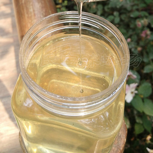 优质野生槐花蜜农家养蜂场自产无加工天然洋槐花蜂蜜原蜜500g包邮