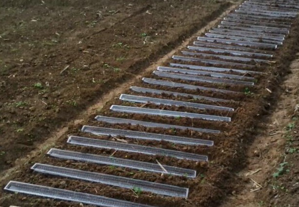 2米加厚淮山山药种植浅生槽u型定向槽塑料培育管100条包邮