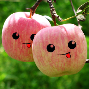 有机苹果新鲜图片