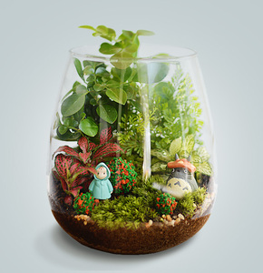 苔藓微景观生态瓶植物盆栽摆件稳居生日礼物龙猫diy创意玻璃花房
