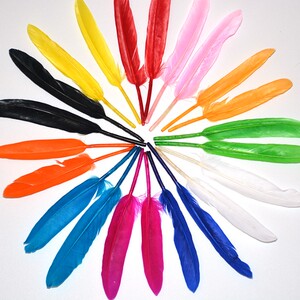 羽毛装饰diy饰品材料手工彩色图片