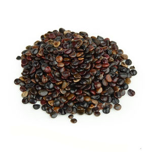 优质中药材枳椇子 拐枣子 span class=h>鸡爪 /span>树 span class=h>