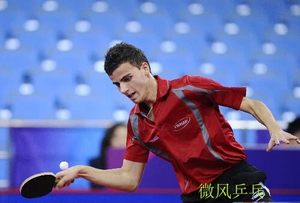 【蝴蝶底板zlc图片】蝴蝶底板zlc图片大全