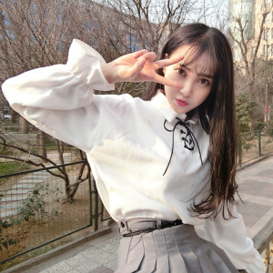 灯笼袖衬衫女长袖韩版 泡泡袖刺绣花朵森系女