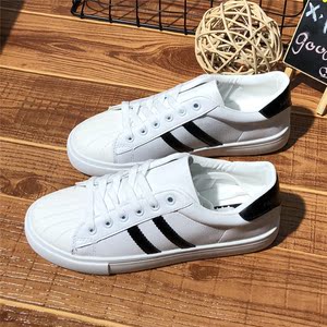 经典贝壳头图片