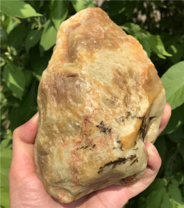 寿山石章料原石图片