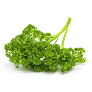 北京欧芹 span class=h>新鲜 /span>蔬菜 span class=h>法 /span> 