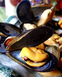 鲜活海虹 青口贝 贻贝 淡菜 4斤装 包邮