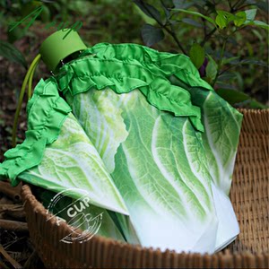  span class=h>正品 /span>奇特创意个性蔬果伞晴雨伞 胡萝卜雨伞折叠