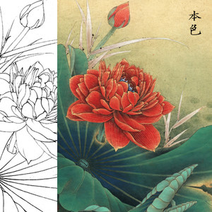 工笔画白描稿白描底稿熟宣手绘红荷花可直接上色可过稿国画勾线稿