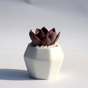 高八角花盆图片