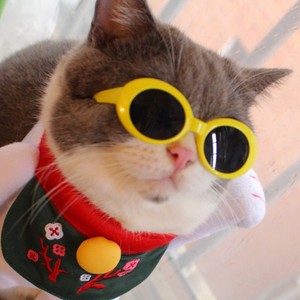 class=h>框 /span> span class=h>眼镜 /span>拍照表情包猫配饰